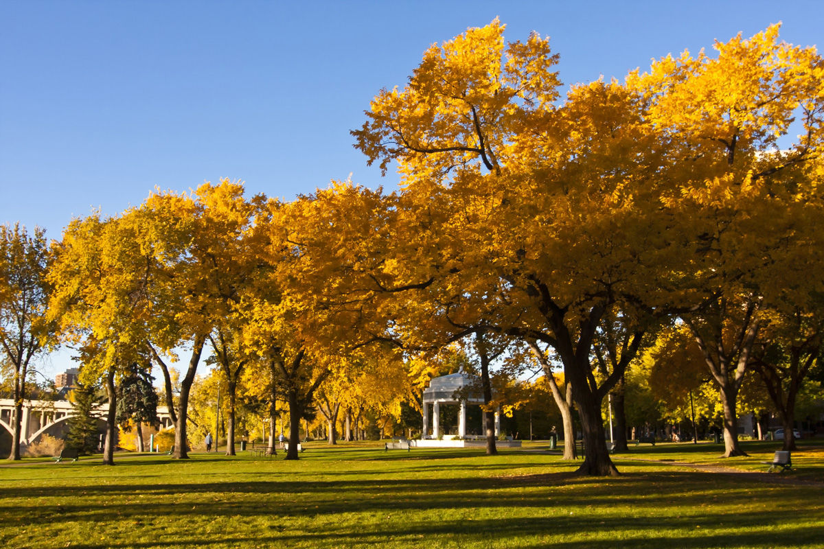 The Vimy Memorial in Kiwanis Park is one of many historical landmarks to take in from your hotel in Saskatoon.
